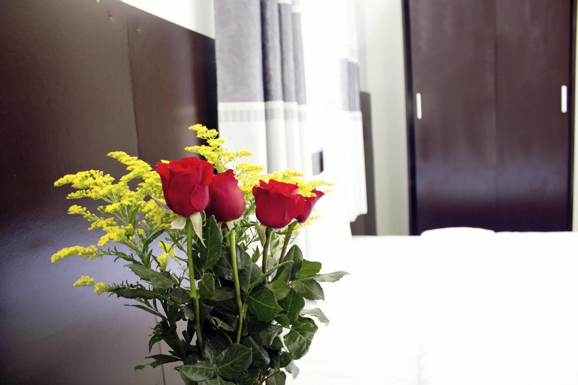 Thy Phuong Da Nang Hotel מראה חיצוני תמונה